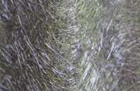 Over Compton fibreglass roof work